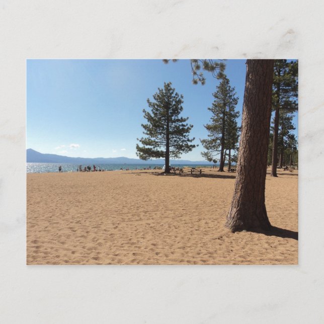 Carte Postale Plantes vertes du lac Tahoe (Devant)
