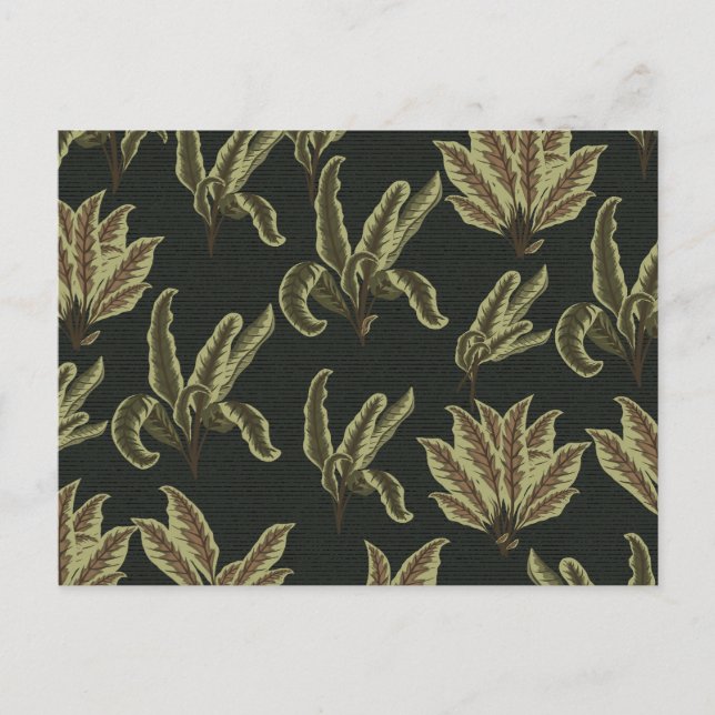 Carte Postale Plantes vintages (Devant)