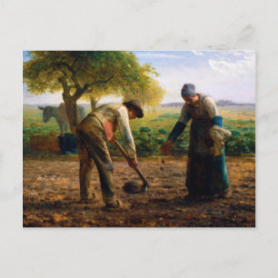 Carte Postale Planteurs de pommes de terre par Jean-François Mil
