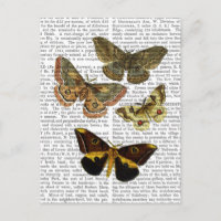 Plaque de papillon 4