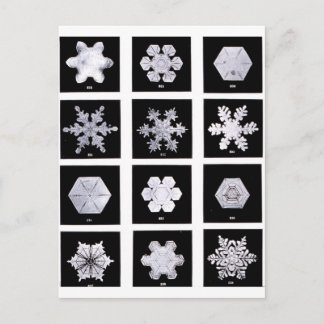 Carte Postale Plaques de flocon de neige Photographie météorolog