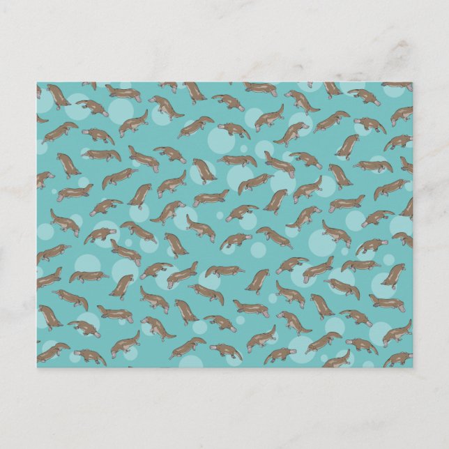 Carte Postale Plate-forme Natation (Devant)