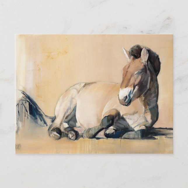 Carte Postale Plateau Sun (Devant)