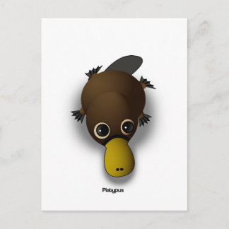 Carte Postale platypus