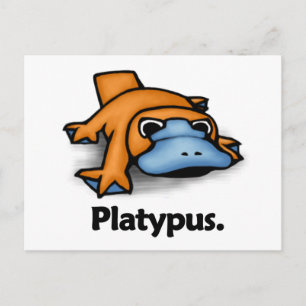 Carte Postale Platypus Platypus.