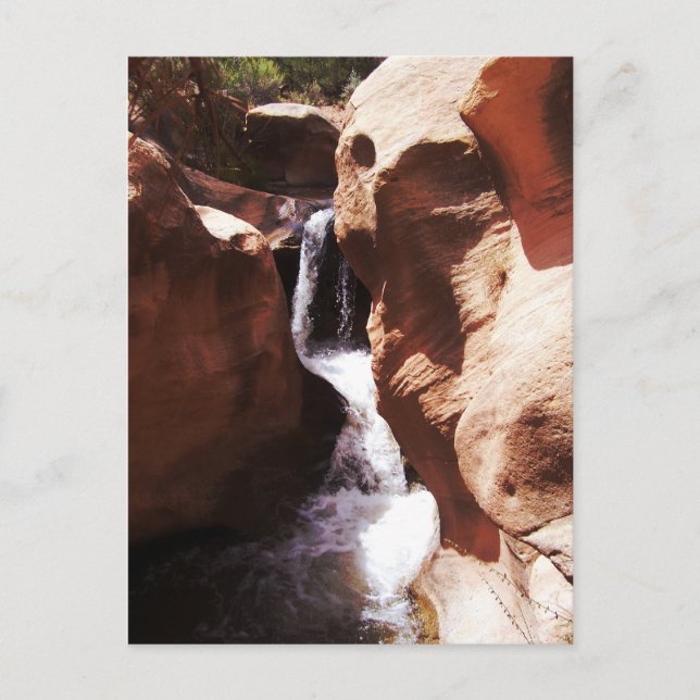 Carte Postale Pleasant Creek Falls, Utah (Devant)