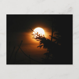 Carte postale Pleine lune