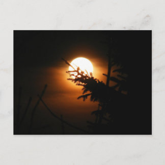 Carte postale Pleine lune