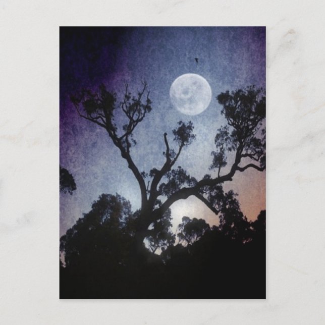 Carte postale Pleine lune (Devant)