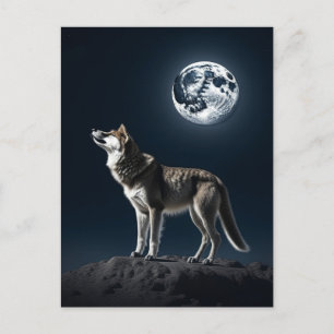 Carte Postale Pleine lune brillant sur le loup