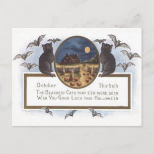 Carte Postale Pleine lune de meule de foin de citrouille de