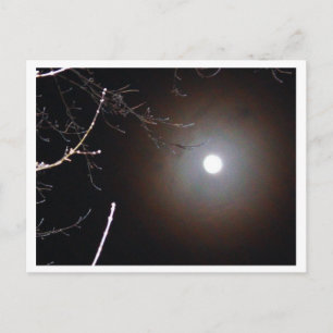 Carte Postale Pleine lune d'hiver