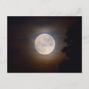 Carte Postale Pleine lune en soirée 