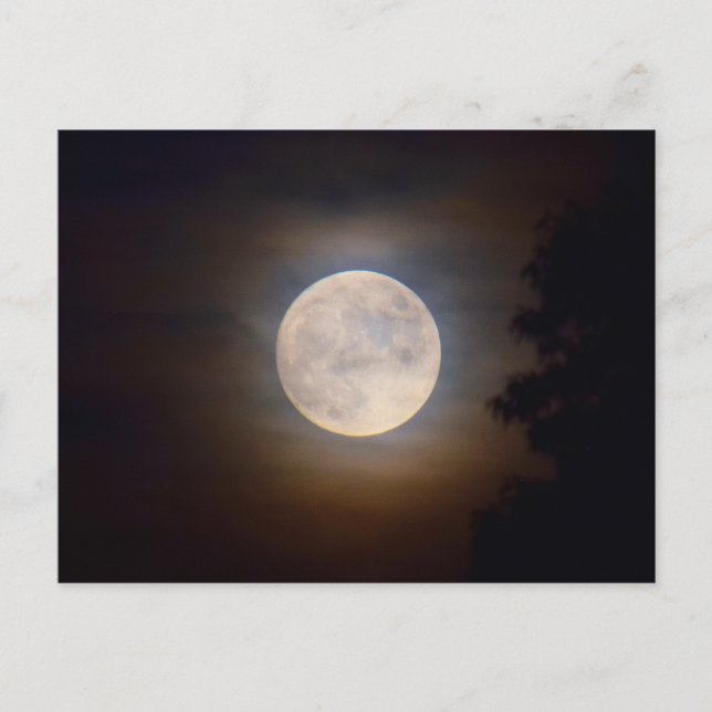Carte Postale Pleine lune en soirée - (Devant)