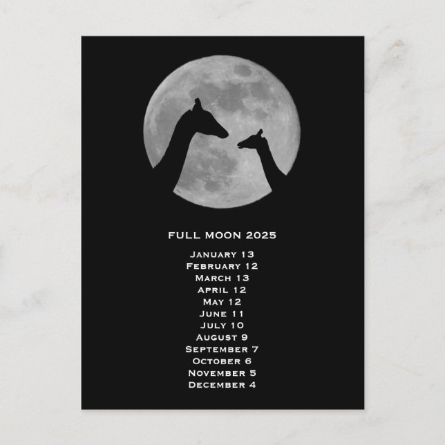 Carte Postale Pleine lune Giraffe 2025 (Devant)