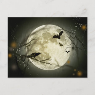 Carte postale Pleine lune Halloween