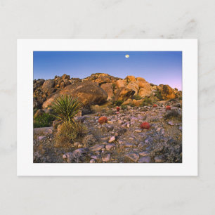 Carte Postale " Pleine Lune Se Couchant Sur L'Anneau De Feu"
