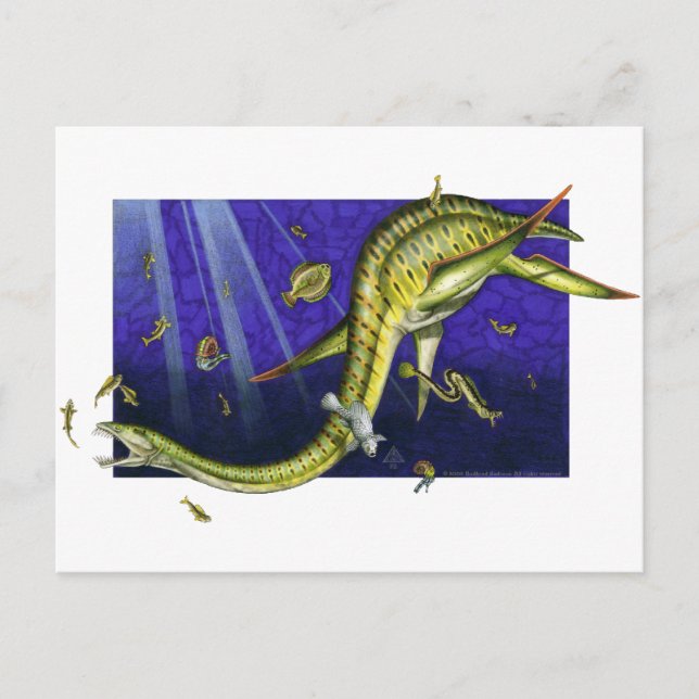 Carte postale Plesiosaur (Devant)
