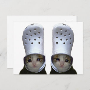 Carte postale Pleure Chat Croc Casquette mème