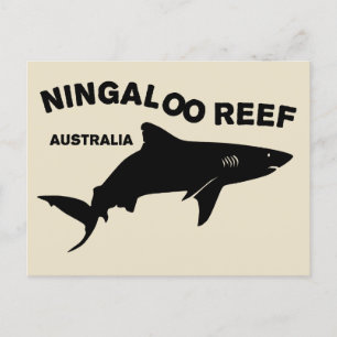 Carte Postale Plongée De Requin En Australie, Ningaloo Reef