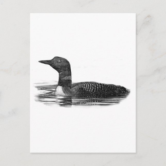 Carte Postale Plongeon sur le lac (Devant)