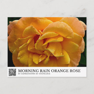 Carte Postale Pluie du matin Rose orange