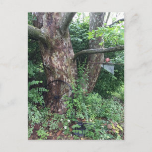 Carte Postale Pluie estivale molle