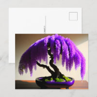 Pluie violette Wisteria Bonsai, poste