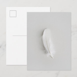 Carte Postale Plume blanche minimaliste