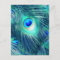 Plumes de paon aquamarine turquoise