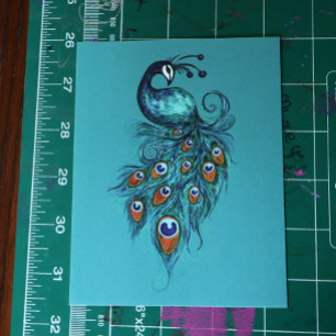 Carte Postale Plumes de paon Peacocks Turquoises
