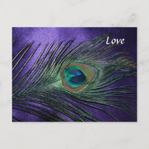 Carte Postale Plumes de paon violet soyeux
