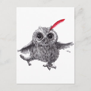 Carte Postale Plumes rouges - Le patron