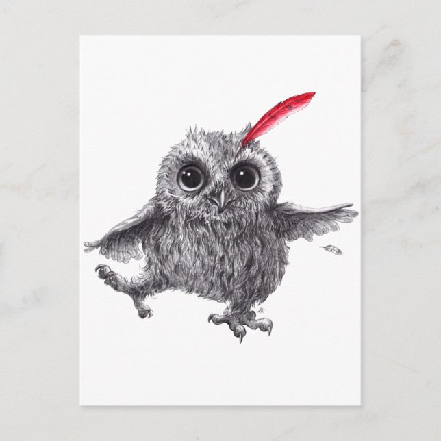 Carte Postale Plumes rouges - Le patron (Devant)