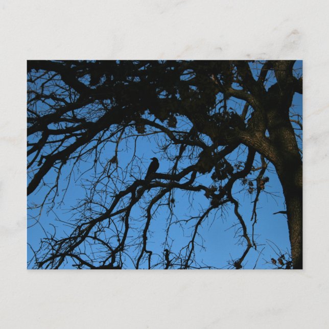 Carte Postale Plus (Devant)