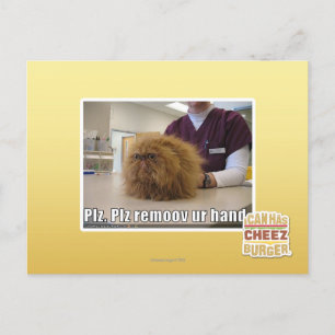 Carte Postale Plz remoov votre main