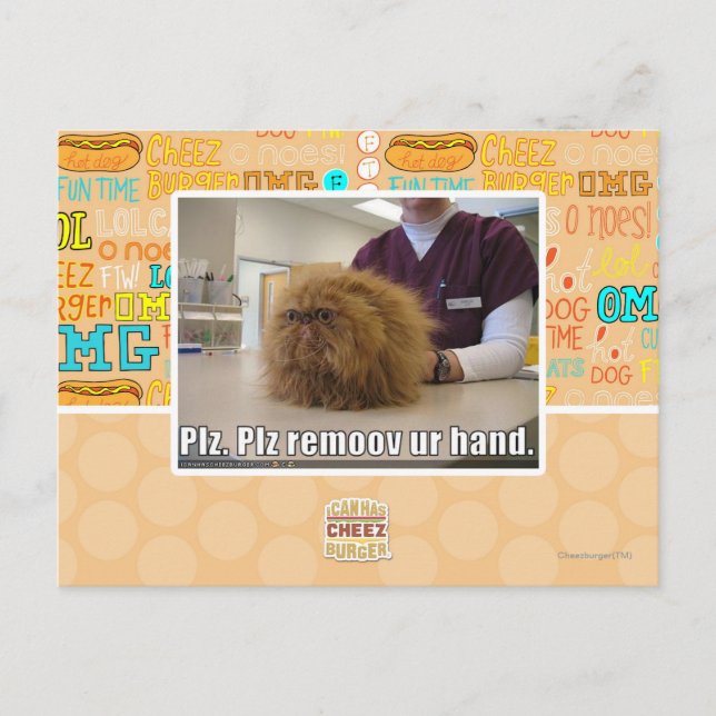 Carte Postale Plz remoov votre main (Devant)