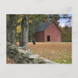 Carte Postale Pneus le long d'une route dans le sud du Vermont,