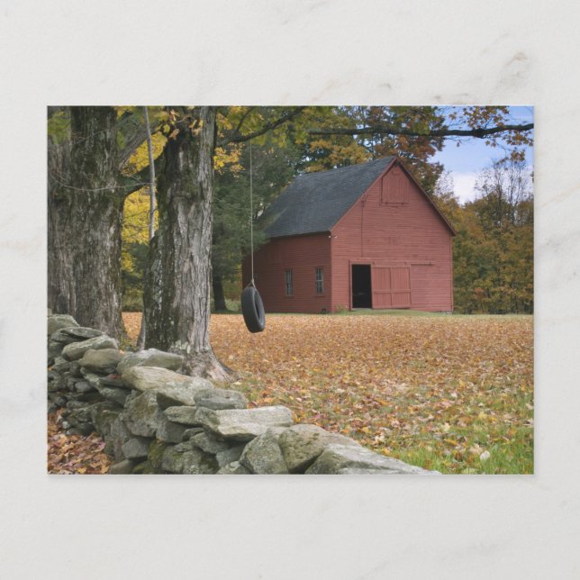 Carte Postale Pneus le long d'une route dans le sud du Vermont, (Devant)