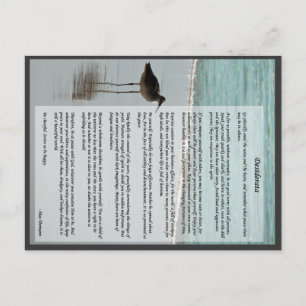 Carte Postale Poème de Desiderata - Mouette sur la scène de plag