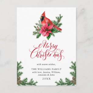 Carte Postale Poinsettia Cardinal Rouge Noël de Noël