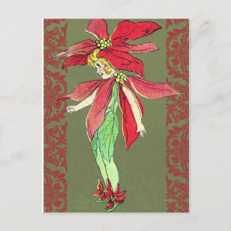 Carte Postale Poinsettia Flower Fairy
