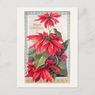 Carte Postale Poinsettias élégantes dans cadre or décoratif