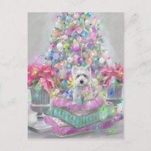 Carte Postale Poinsettias roses