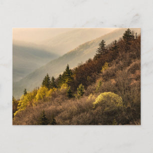 Carte Postale Point de vue de la vallée d'Oconaluftee Caroline
