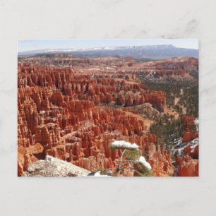 Carte Postale Point d'inspiration à Bryce Canyon I