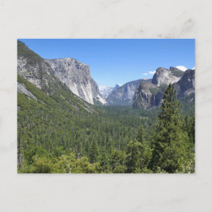 Carte Postale Point d'Inspiration dans le Parc National de Yosem