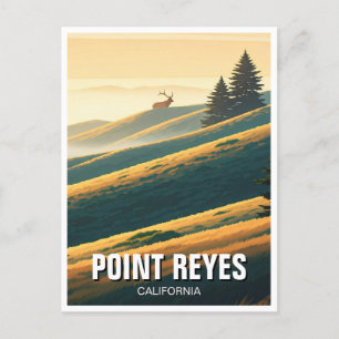 Carte Postale Point Reyes National Seashore Elk