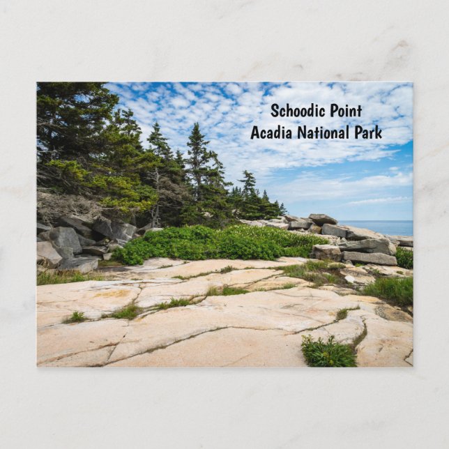 Carte Postale Point scolaire dans le parc national de l'Acadie d (Devant)