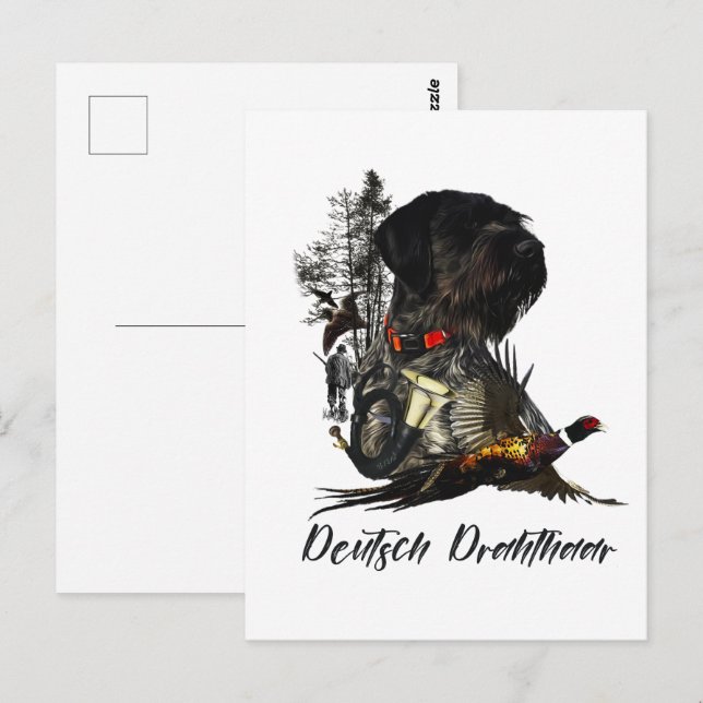Carte Postale Pointeur À poils durs allemand (Devant / Derrière)